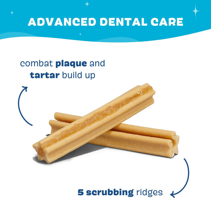 Bundle: BARK Bright + VetriScience - Dental Care Bundle for Dogs product detail number 1.0