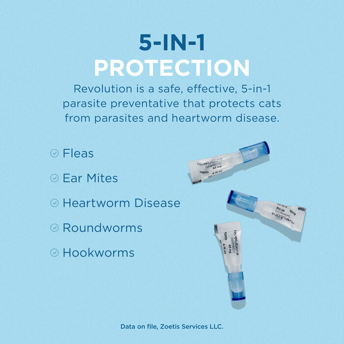 Bundle: Revolution + MilbeGuard - Flea & Tick Prevention Bundle for Dogs product detail number 1.0