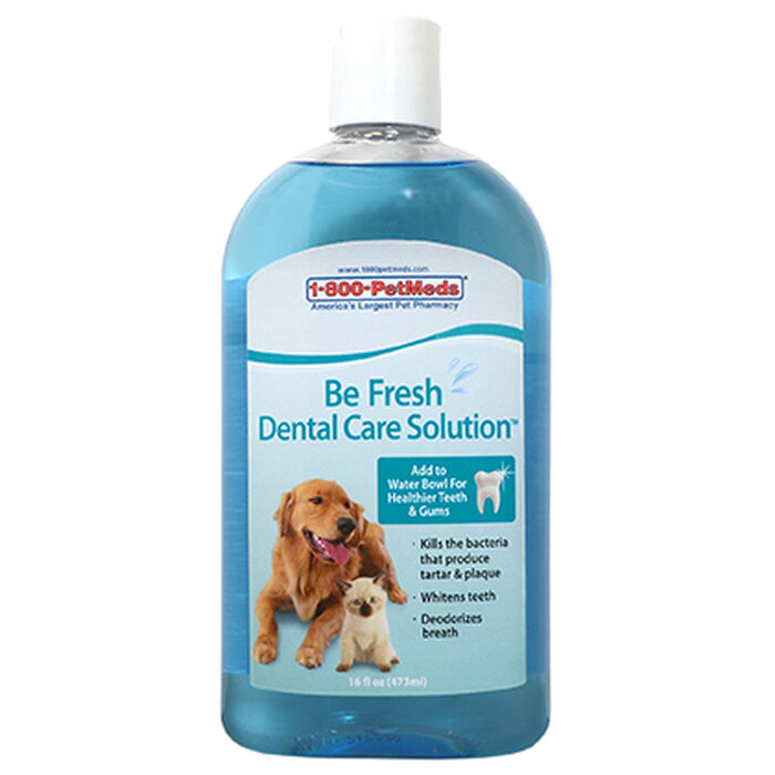Bundle: Dr. Cuddles + Be Fresh - Dental Care Bundle for Cats & Dogs product detail number 1.0