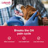Bundle: Galliprant + Greenies - Joint Health Bundle for Dogs