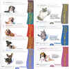 Bundle: Revolution + MilbeGuard - Flea & Tick Prevention Bundle for Dogs
