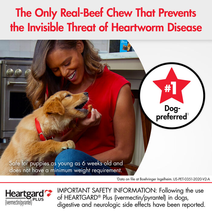 Bundle: Nexgard + Heartgard Plus - Flea, Tick, & Heartworm Prevention Bundle for Dogs product detail number 1.0