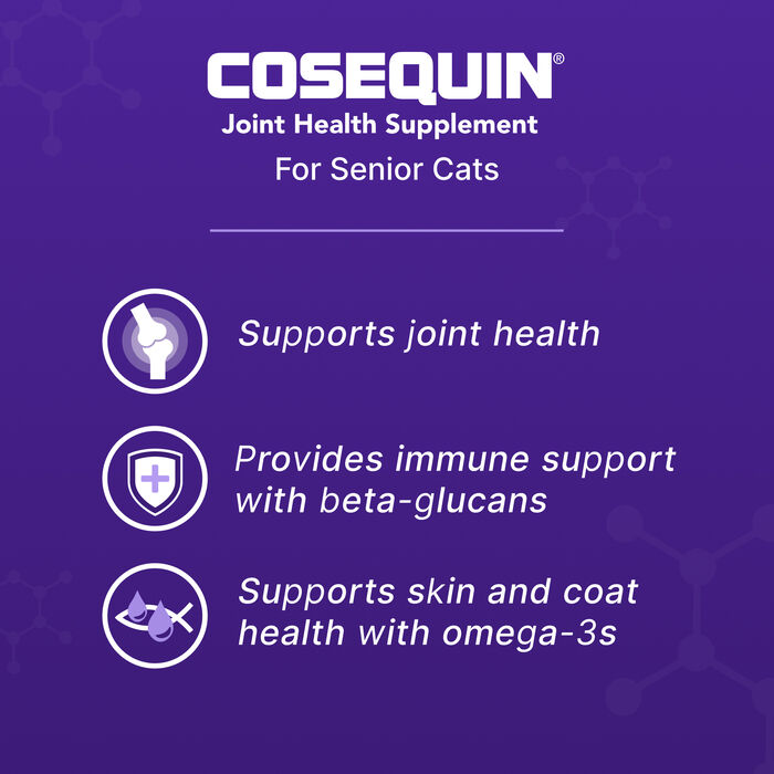 Bundle: Nulo + Nutramax Dasuquin- Joint Health & Nutrition Bundle for Senior Dogs product detail number 1.0