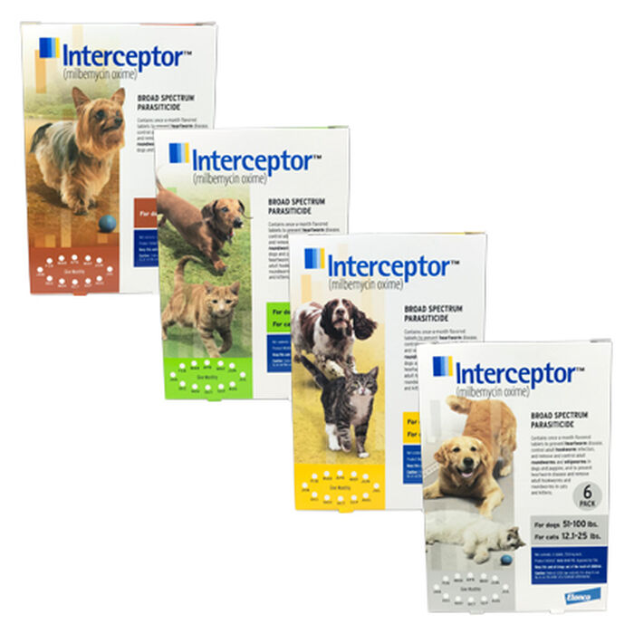 Bundle: Alzoo Plant-Based Collar + Shampoo - Flea & Tick Prevention Bundle for Dogs & Cats product detail number 1.0