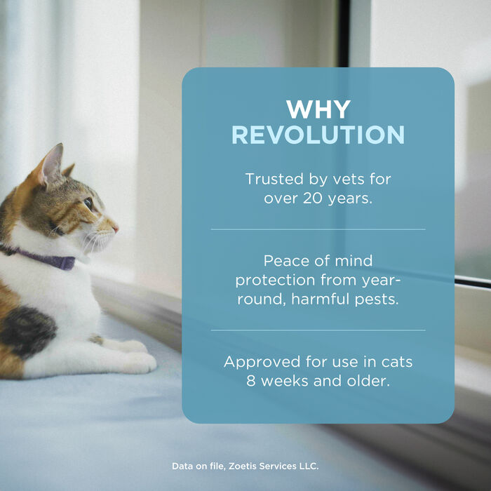 Bundle: Revolution + MilbeGuard - Flea & Tick Prevention Bundle for Dogs product detail number 1.0