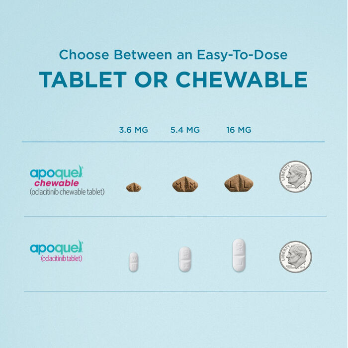 Bundle: Apoquel + The Missing Link - Skin, Coat, & Allergy Relief Bundle for Dogs product detail number 1.0