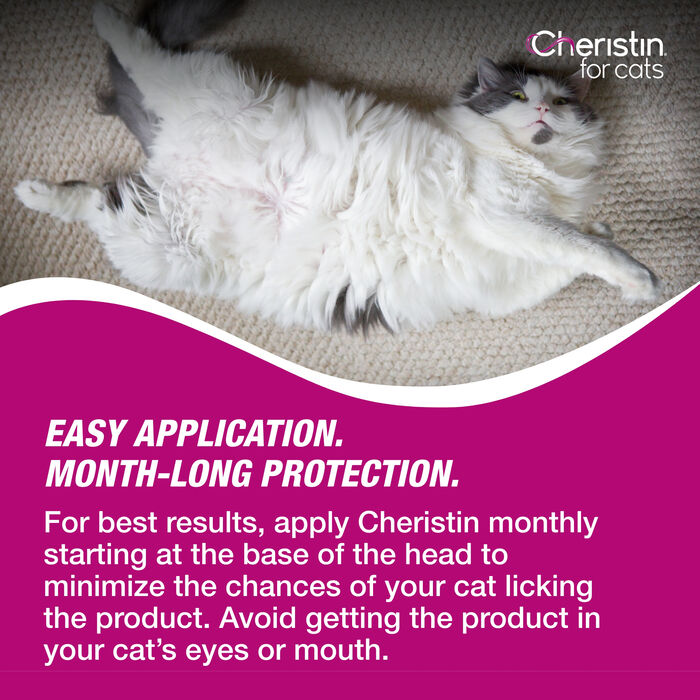 Bundle: Cheristin + Interceptor - Flea & Heartworm Prevention Bundle for Cats product detail number 1.0
