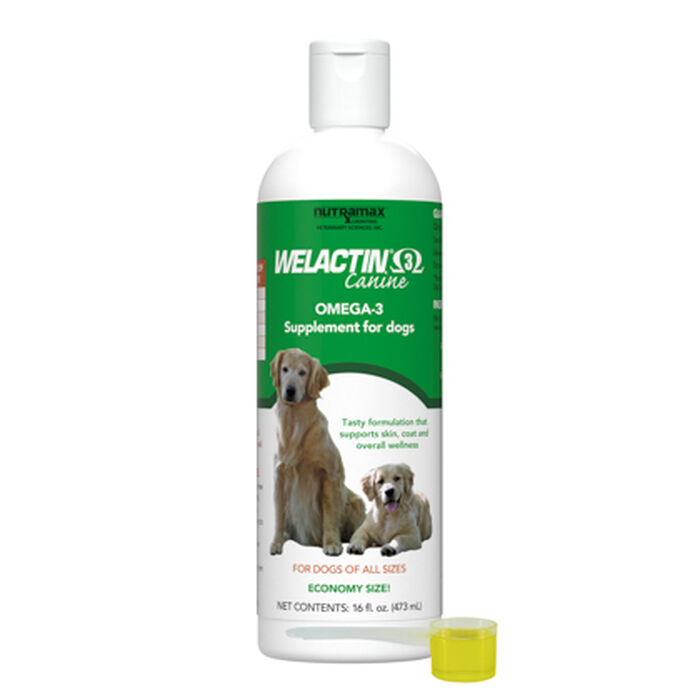 Bundle: Nutramax Proviable + Welactin - Digestive & Skin Support Bundle for Dogs product detail number 1.0