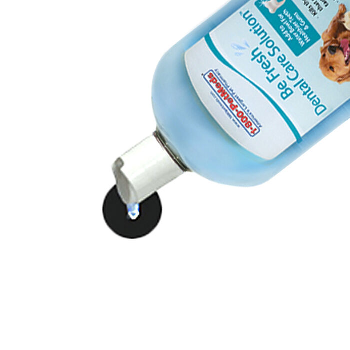 Bundle: Dr. Cuddles + Be Fresh - Dental Care Bundle for Cats & Dogs product detail number 1.0