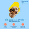 Bundle: Seresto + Interceptor Plus - Flea, Tick, & Heartworm Prevention Bundle for Dogs