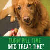 Bundle: Galliprant + Greenies - Joint Health Bundle for Dogs