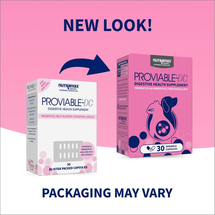 Bundle: Nutramax Proviable + Welactin - Digestive & Skin Support Bundle for Dogs product detail number 1.0