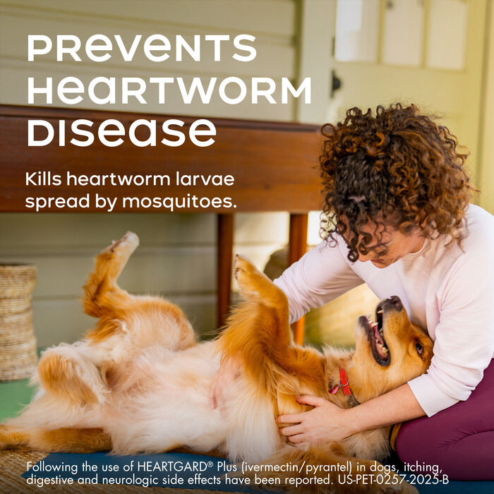 Bundle: Nexgard + Heartgard Plus - Flea, Tick, & Heartworm Prevention Bundle for Dogs product detail number 1.0