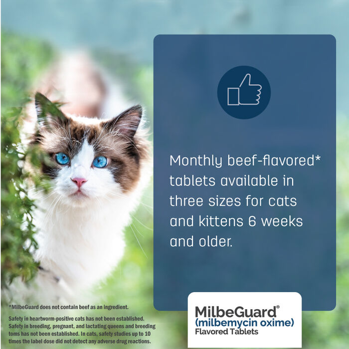 Bundle: Flea5X Plus + MilbeGuard - Flea, Tick, & Heartworm Prevention Bundle for Dogs product detail number 1.0