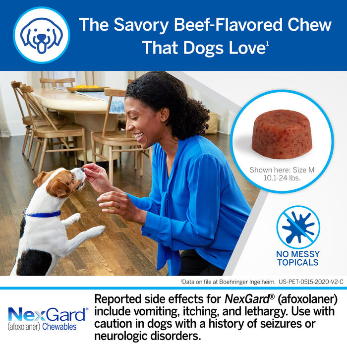Bundle: Nexgard + Heartgard Plus - Flea, Tick, & Heartworm Prevention Bundle for Dogs product detail number 1.0