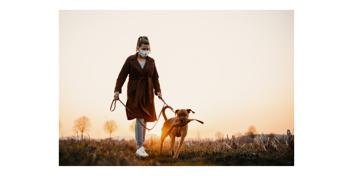 Care for pet in quarantine Care for pet in quarantine