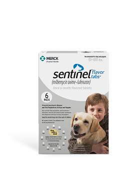 sentinel-product-4