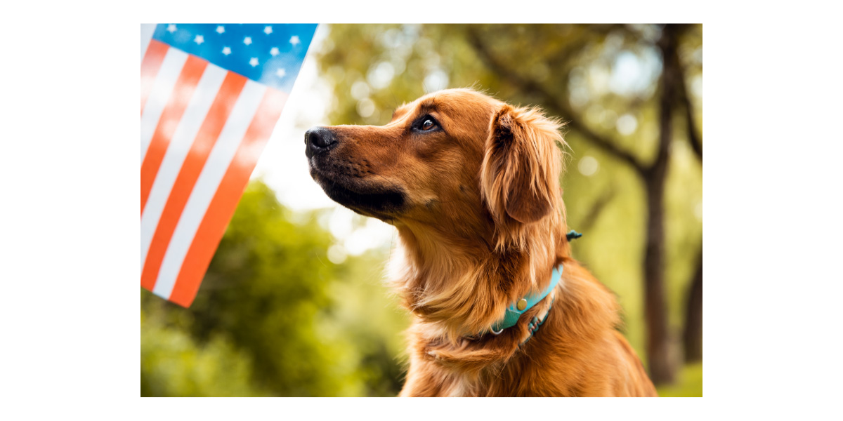 July 4th safety tips July 4th safety tips