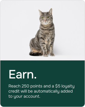 2. Earn