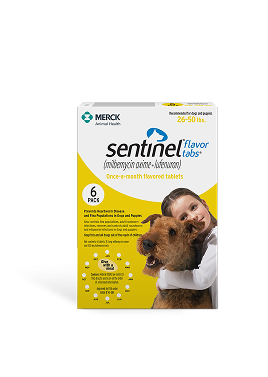 sentinel-product-3
