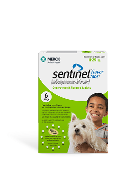 sentinel-product-2