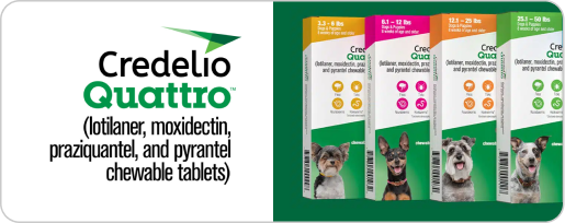 Credelio Quattro