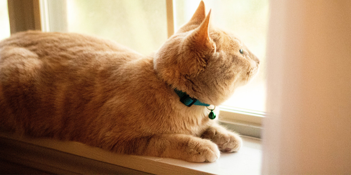 Return to work Return to work