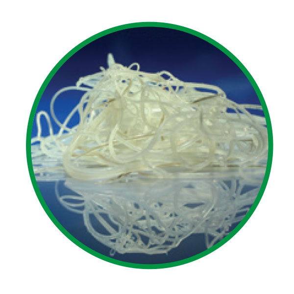 Effective heartworm prevention